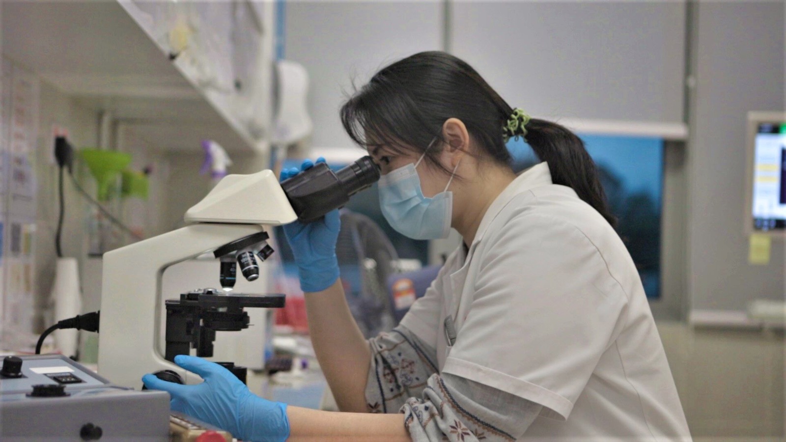 Level Ii Laboratory Laboratory in Miri - BMC Miri